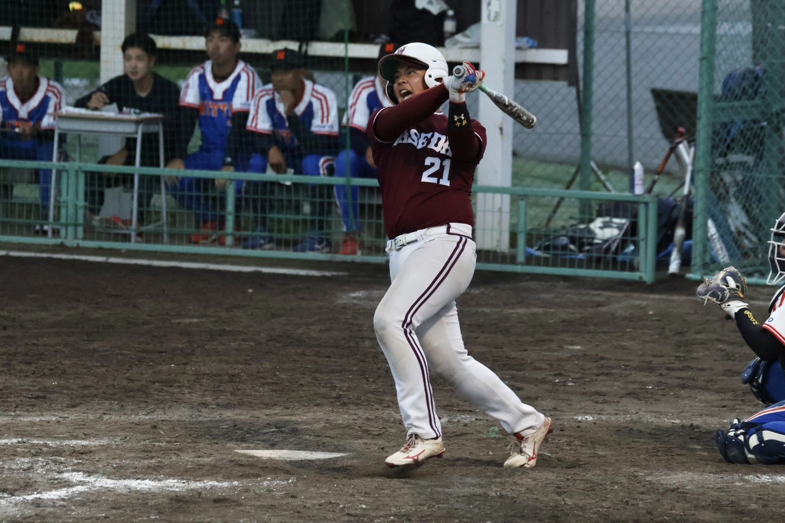 早稲田大学男子ソフトボール部